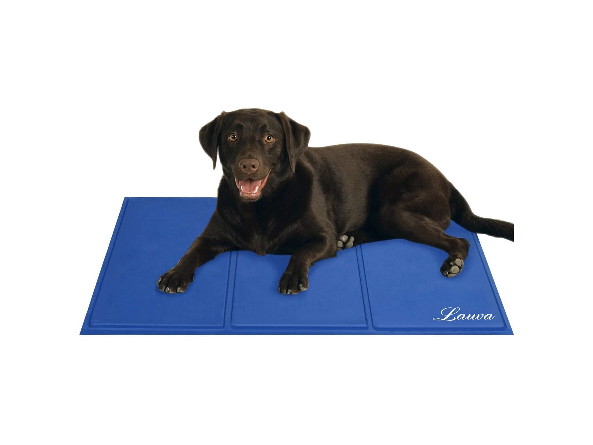 Dogs rock reversible pet cooling outlet mat